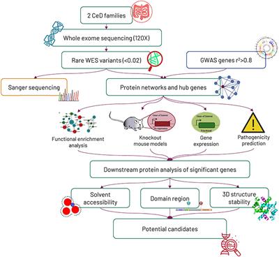 Genome-Wide Association Study-Guided Exome Rare Variant Burden Analysis Identifies IL1R1 and CD3E as Potential Autoimmunity Risk Genes for Celiac Disease